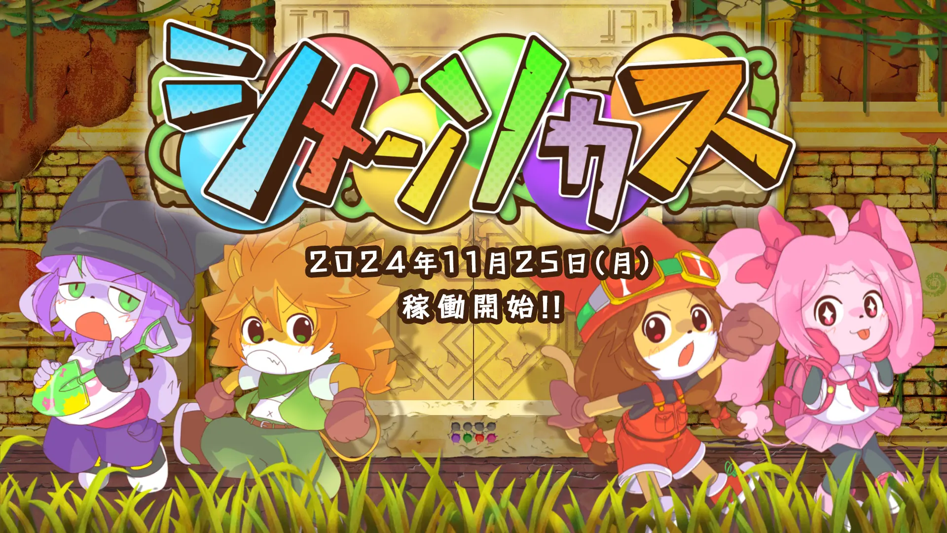 シメンソカス 2024年11月25日（月）稼働開始！！